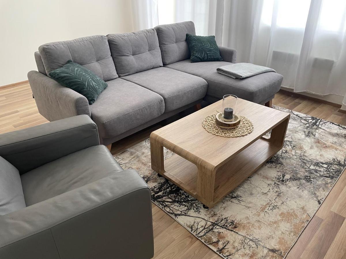 Apartman Studnice Na Vysocine 诺夫梅斯托纳马瑞夫 外观 照片
